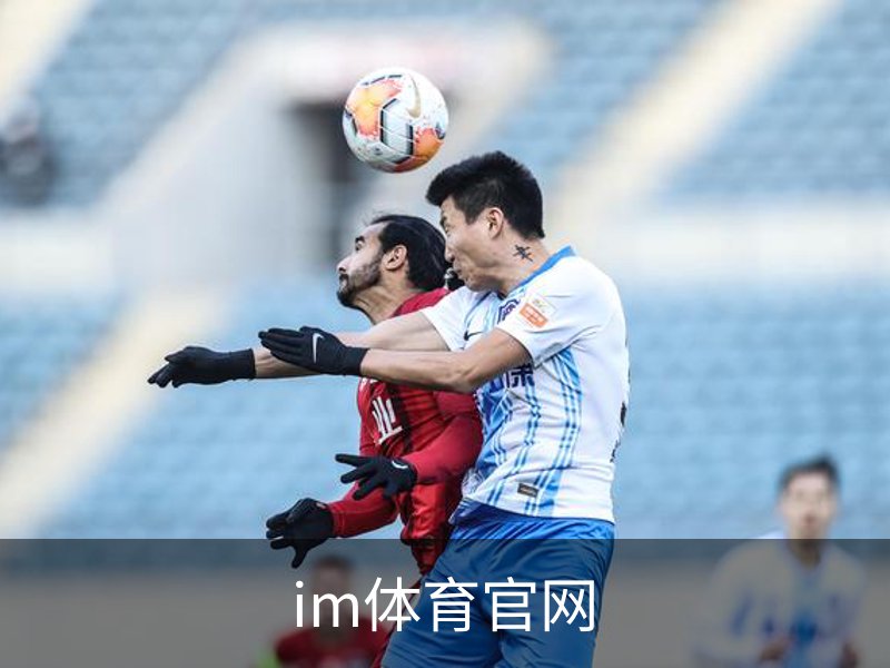 im体育官网简介